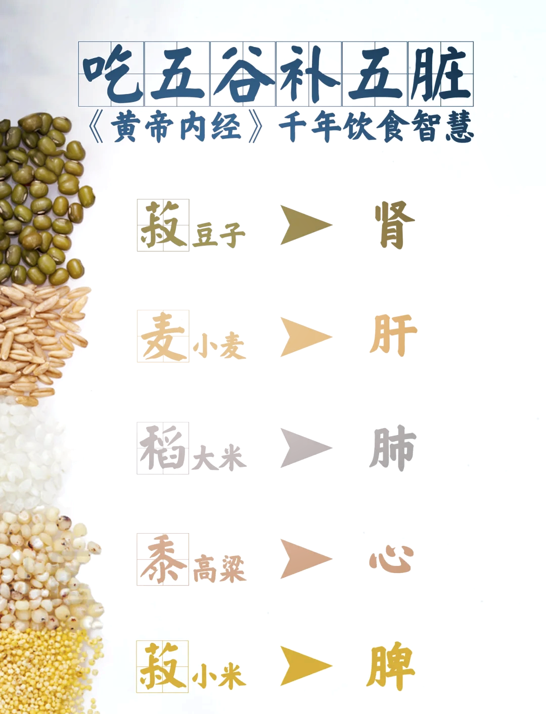 🌾稻黍粟与五脏的秘密联系💡