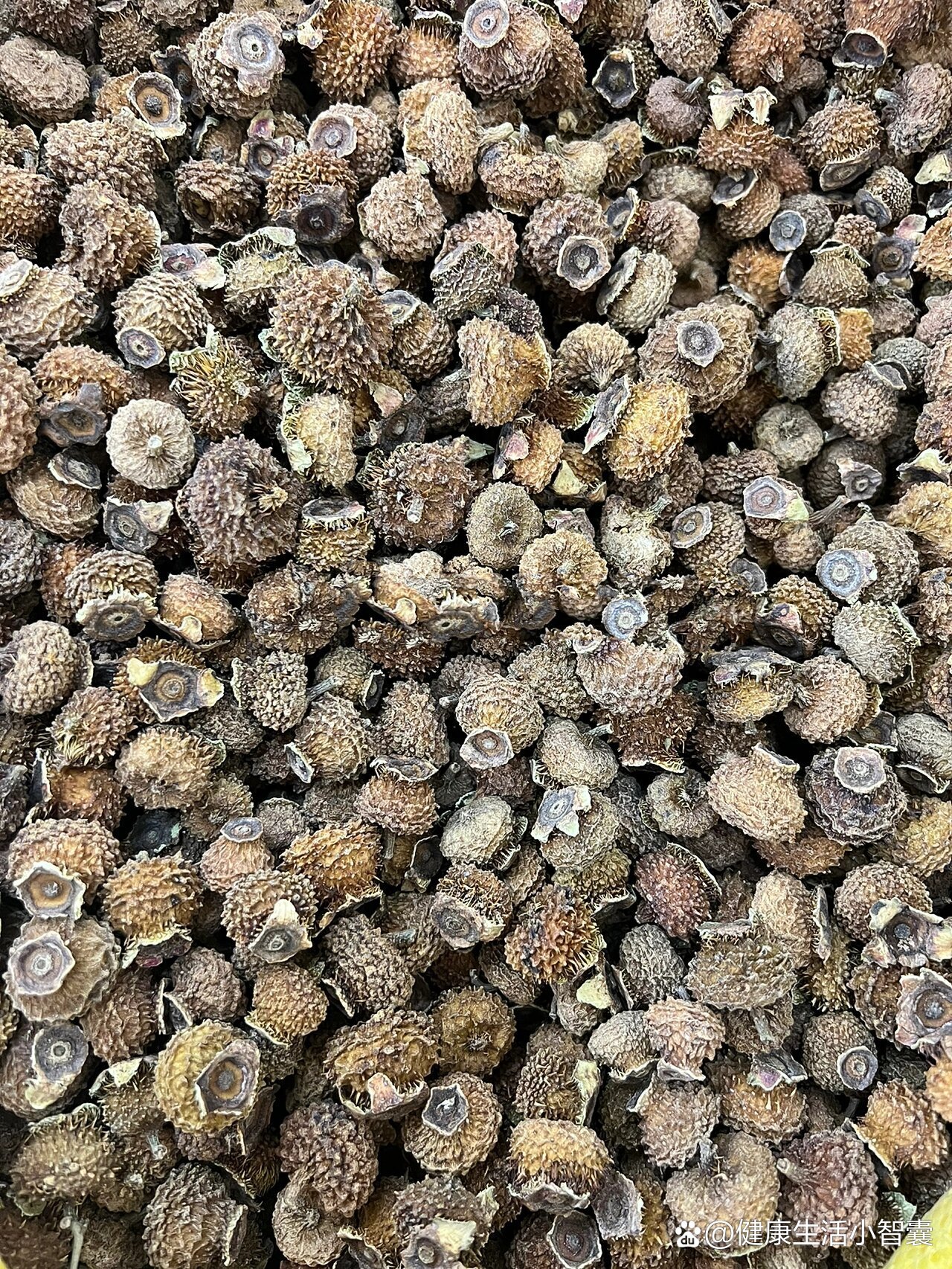 最近很?刺梨的功效和禁忌