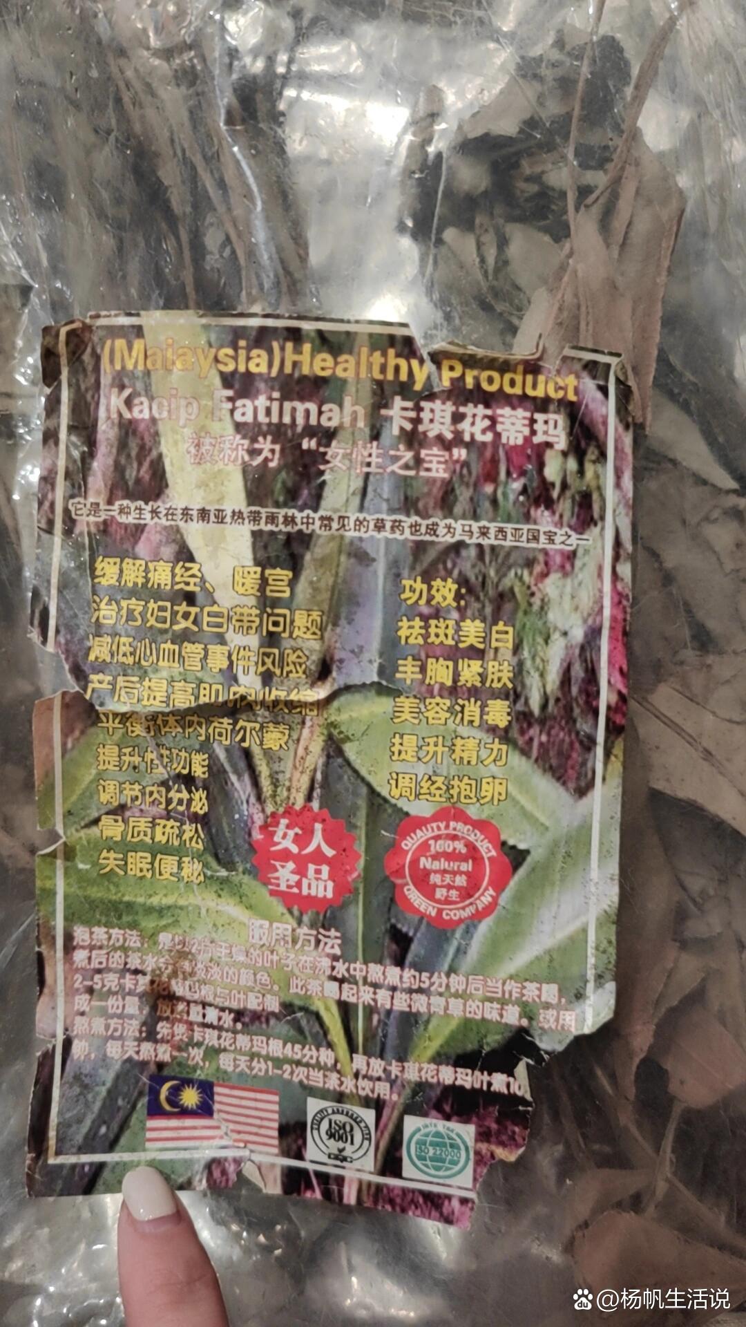 卡琪花蒂玛