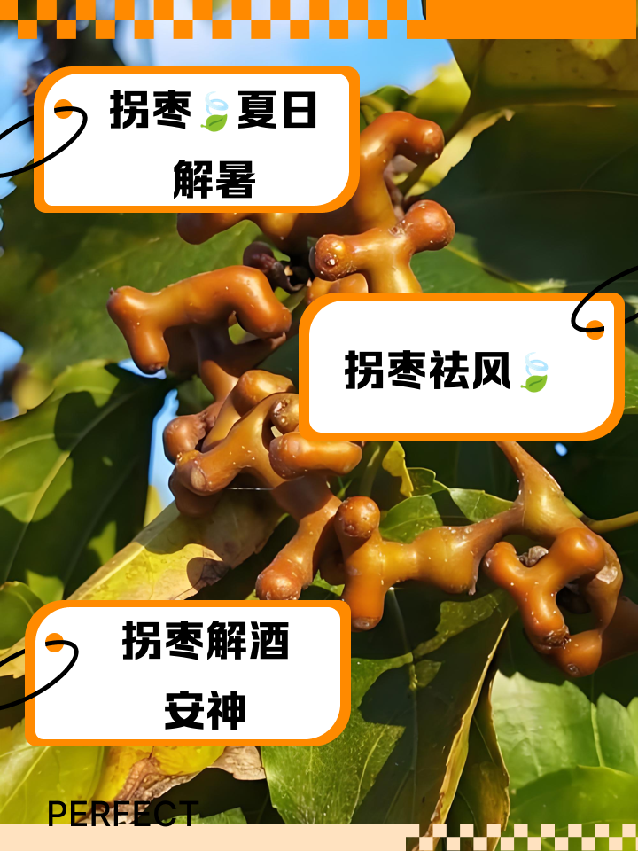 拐枣的作用与功效