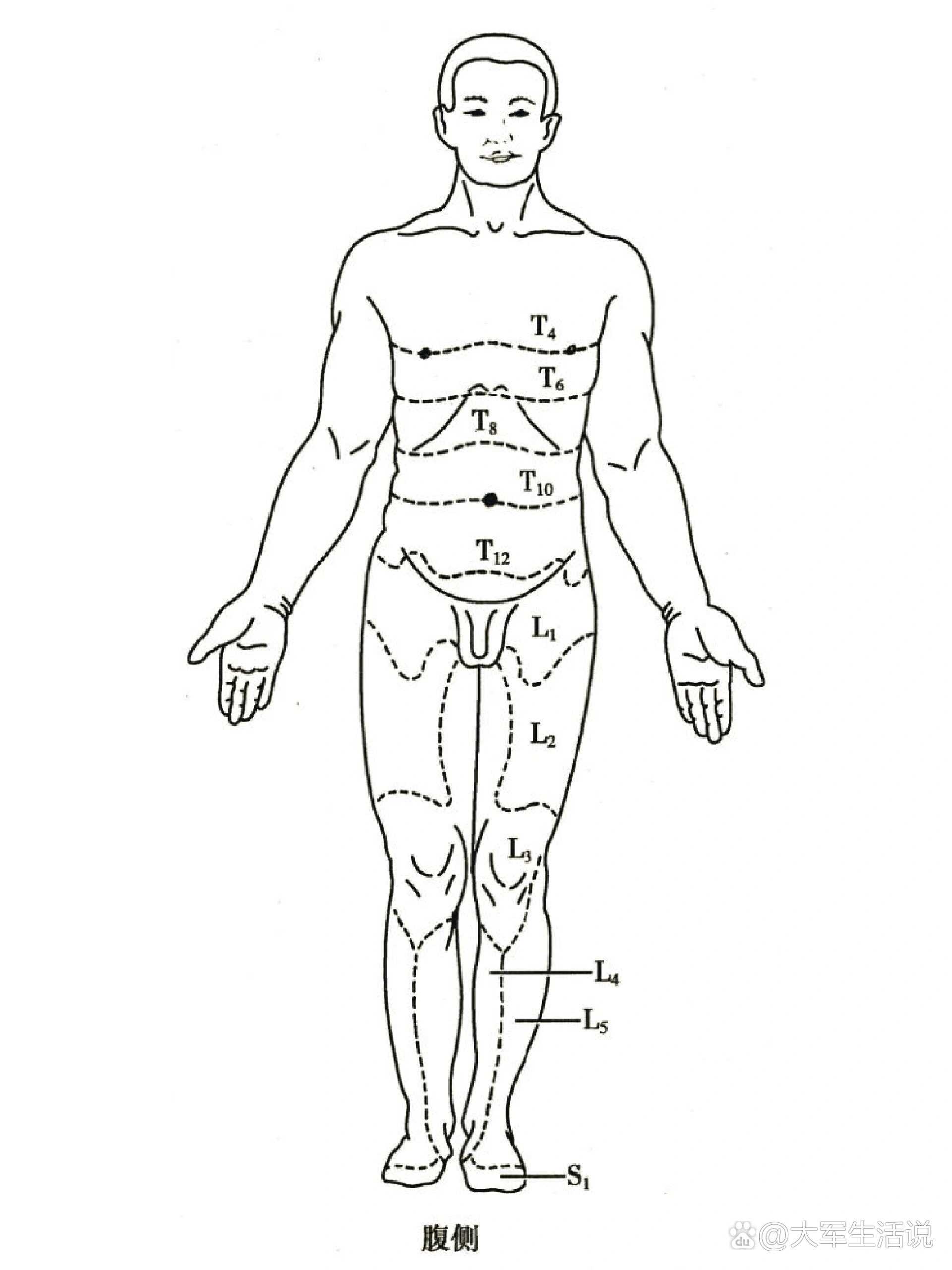 不同部位手术所需最低麻醉平面