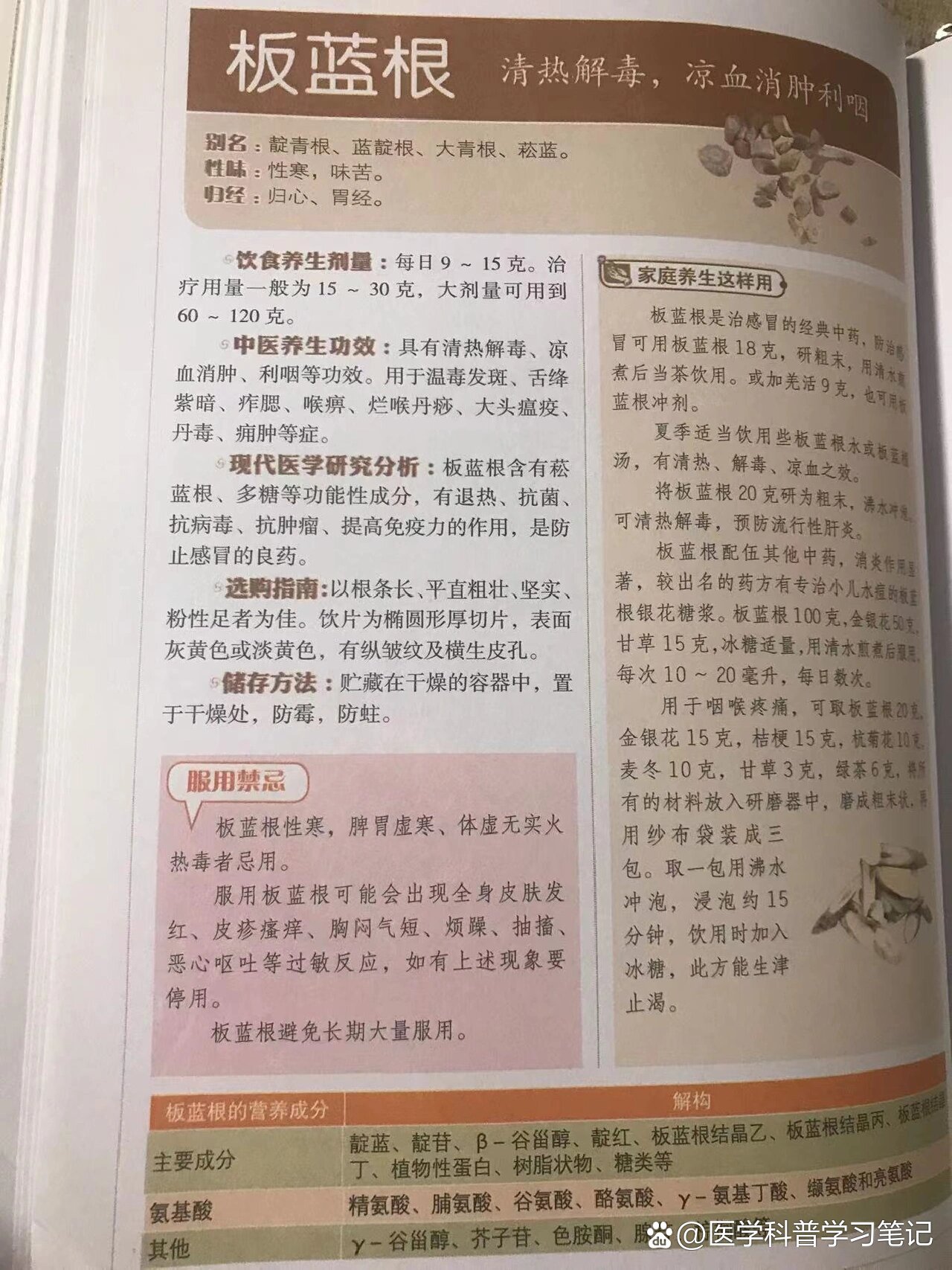 南板蓝根的功效与作用图片