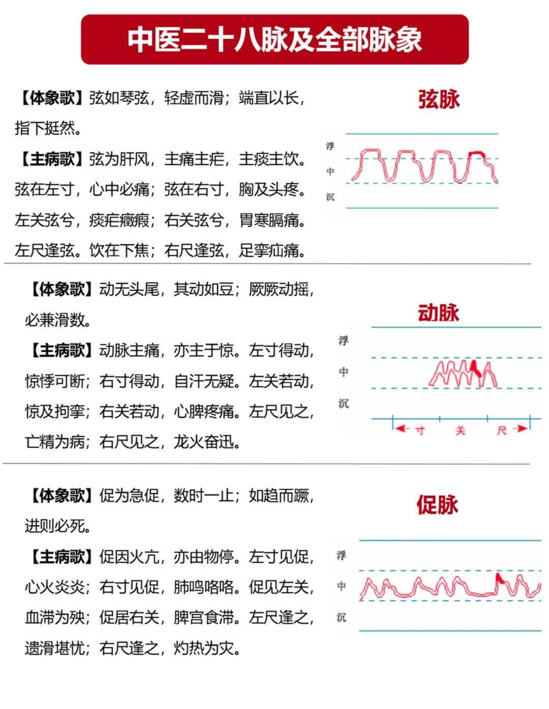 💉中医28脉详解：脉象与主病对照