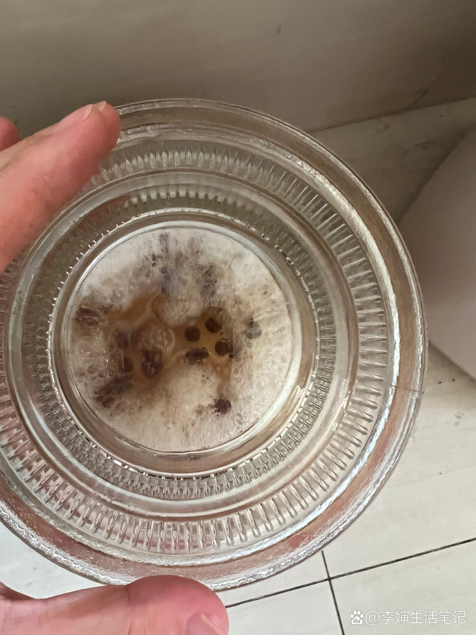 泡菜冒泡泡01了咋办