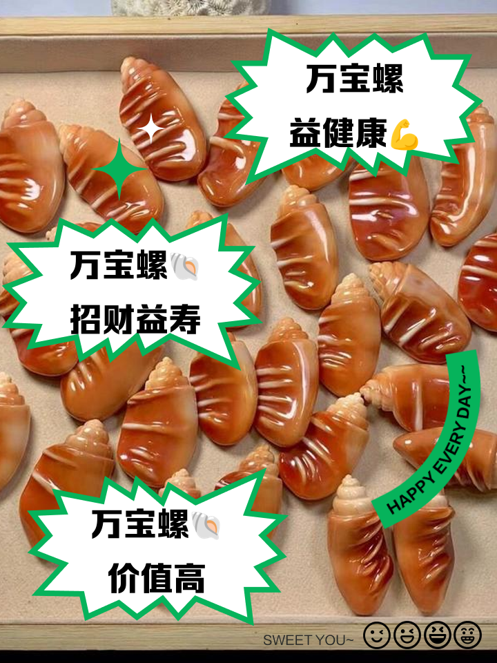 万宝螺的功效与作用以及象征