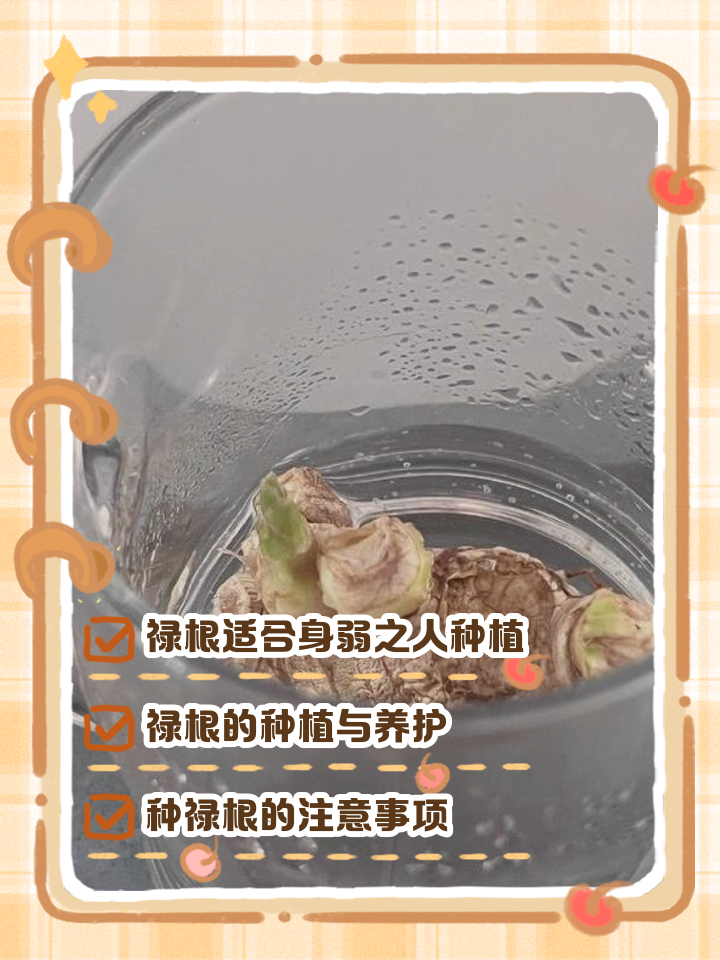 怎样知道自己适不适合种禄根