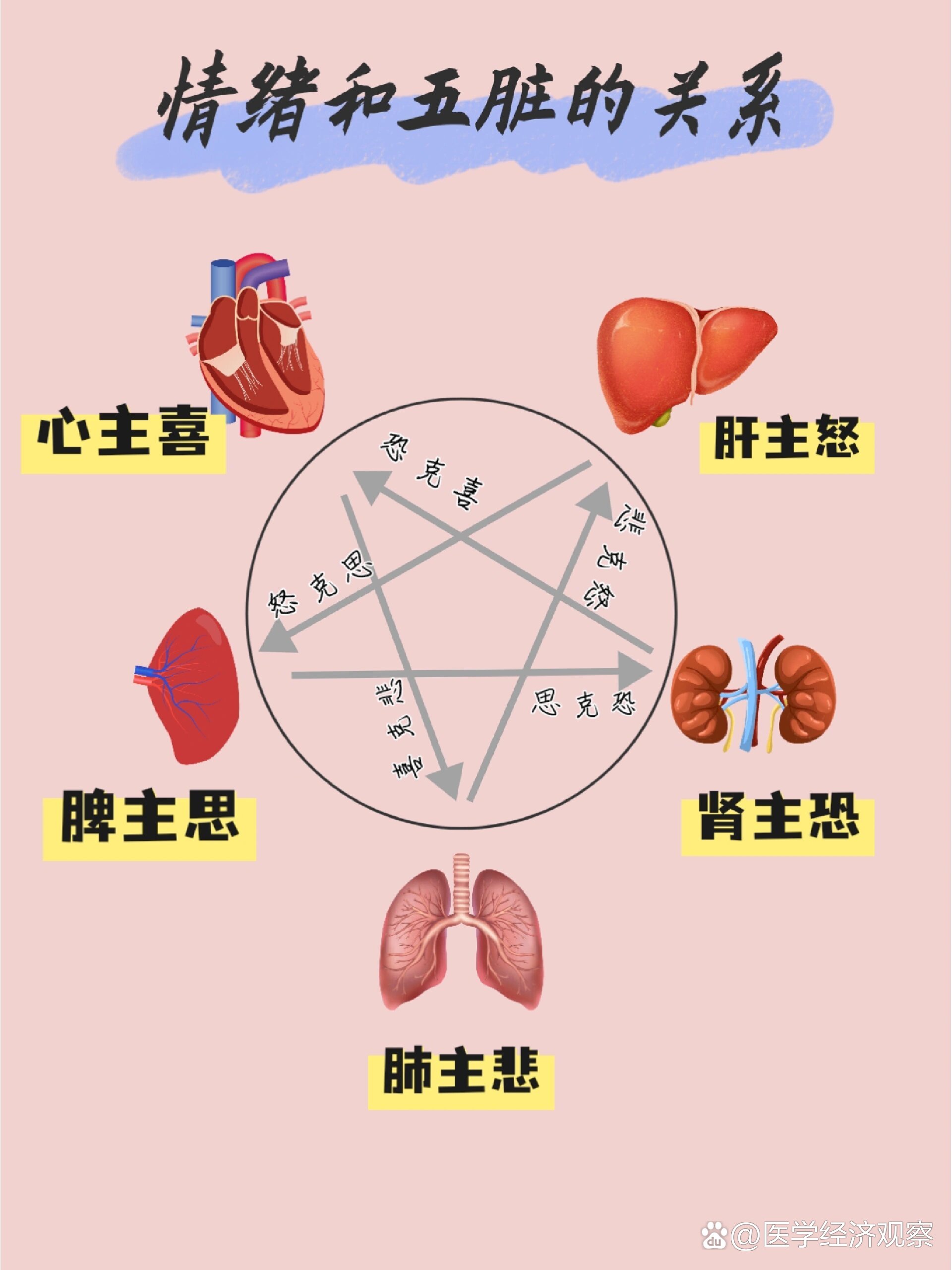 情绪和五脏的联系