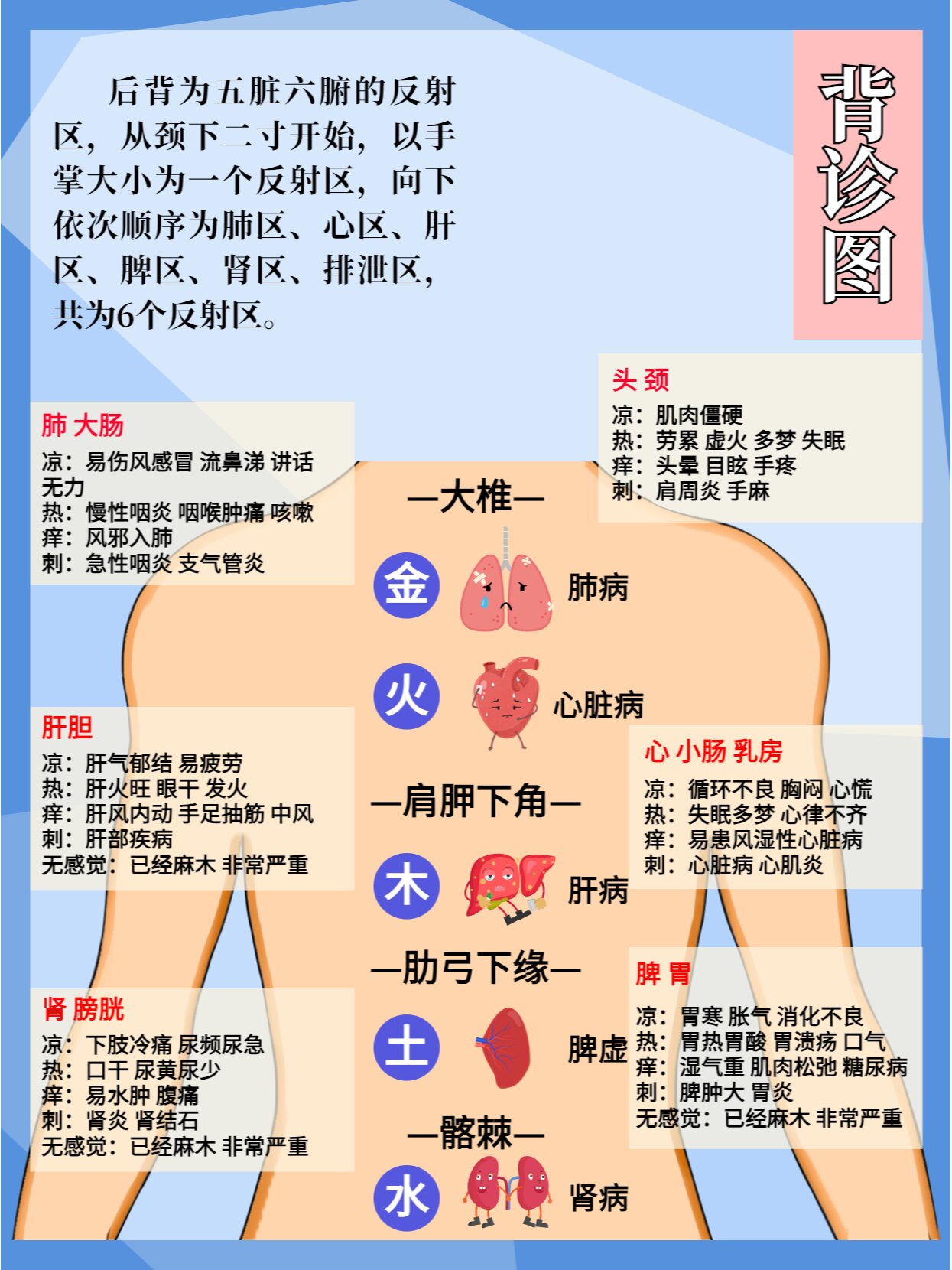 肺反射区图片