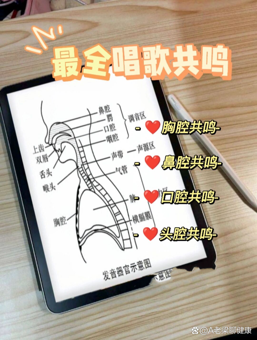 干货分享93学声乐必须知道的共鸣腔体73