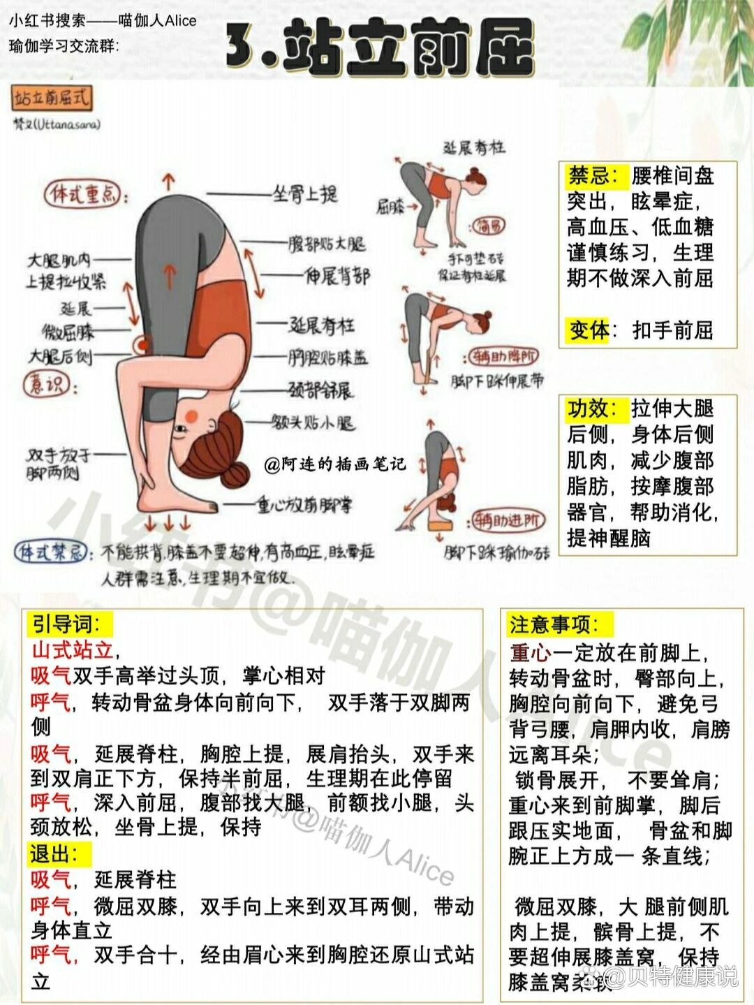 瑜伽教练教培笔记‖体式3:站立前屈式‖辅助