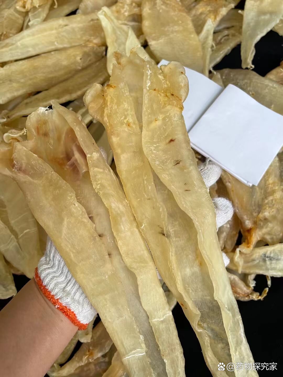 北海母鱼胶功效