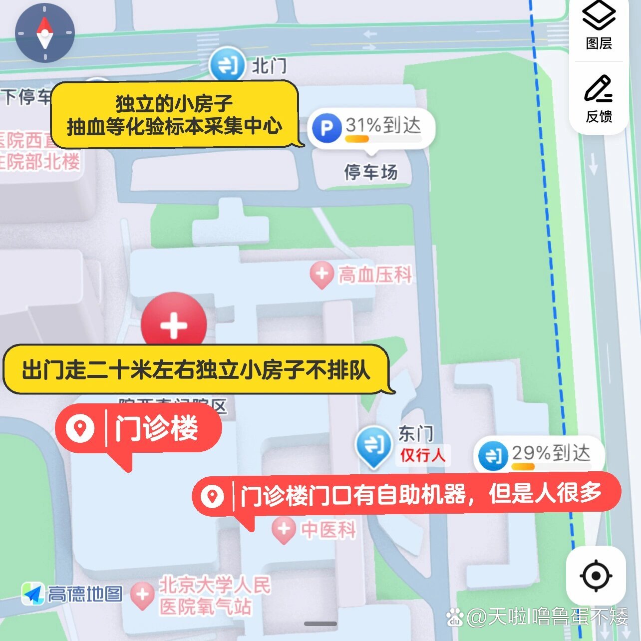 包含北京大学人民医院医院跑腿代办全程陪同号贩子联系方式_办法多,价格不贵的词条