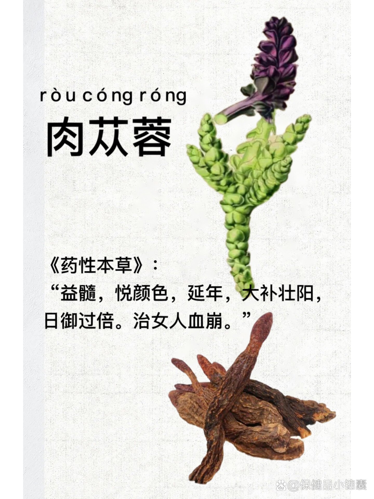 是一味补阳药,为列当科植物肉苁蓉或管花肉苁蓉的干燥带鳞叶的肉质茎