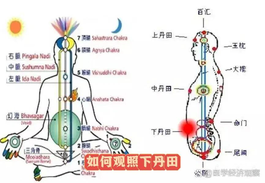 丹田的具体位置图片图片