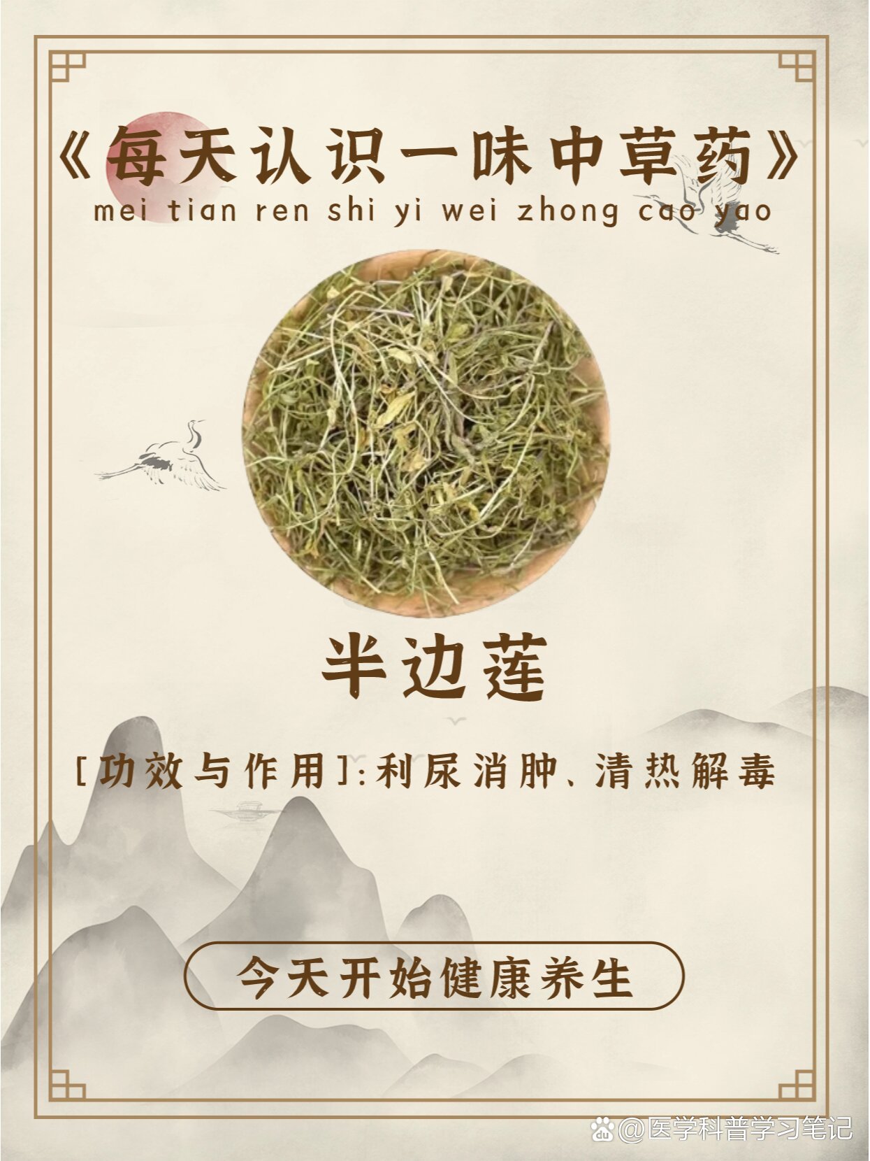 每天认识一味中草药