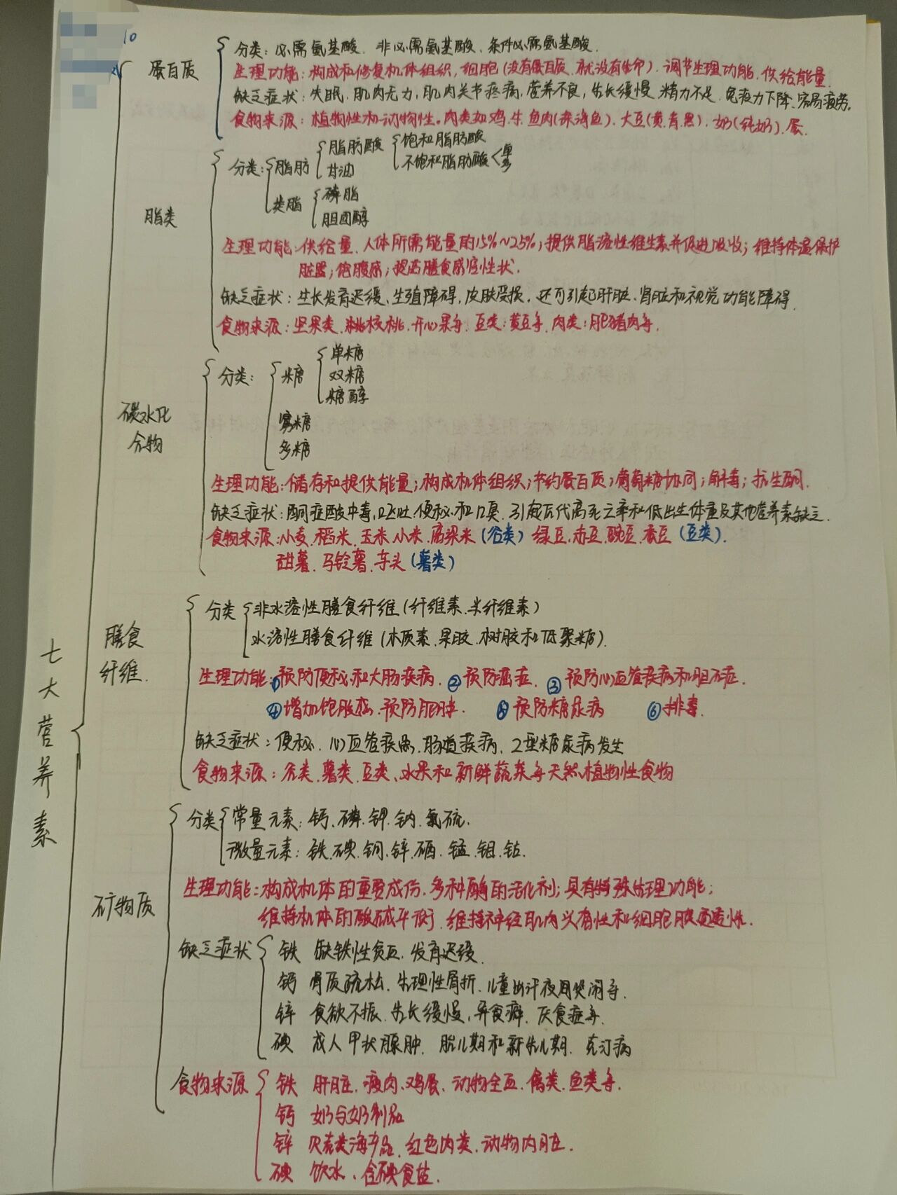 七大营养素思维导图