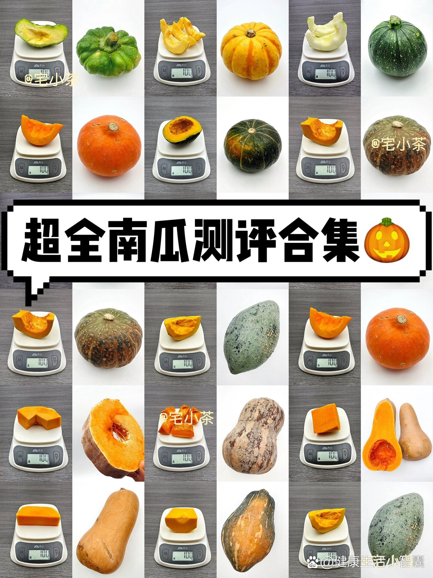 超全11种南瓜热量测评99热量73口味73做法73
