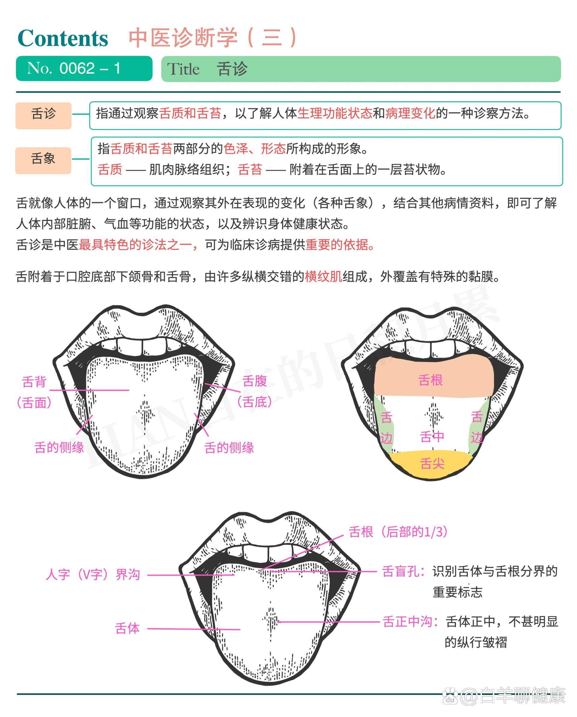 一起学中医吧