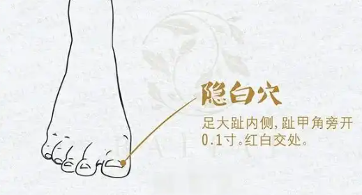 隐白穴的位置和作用