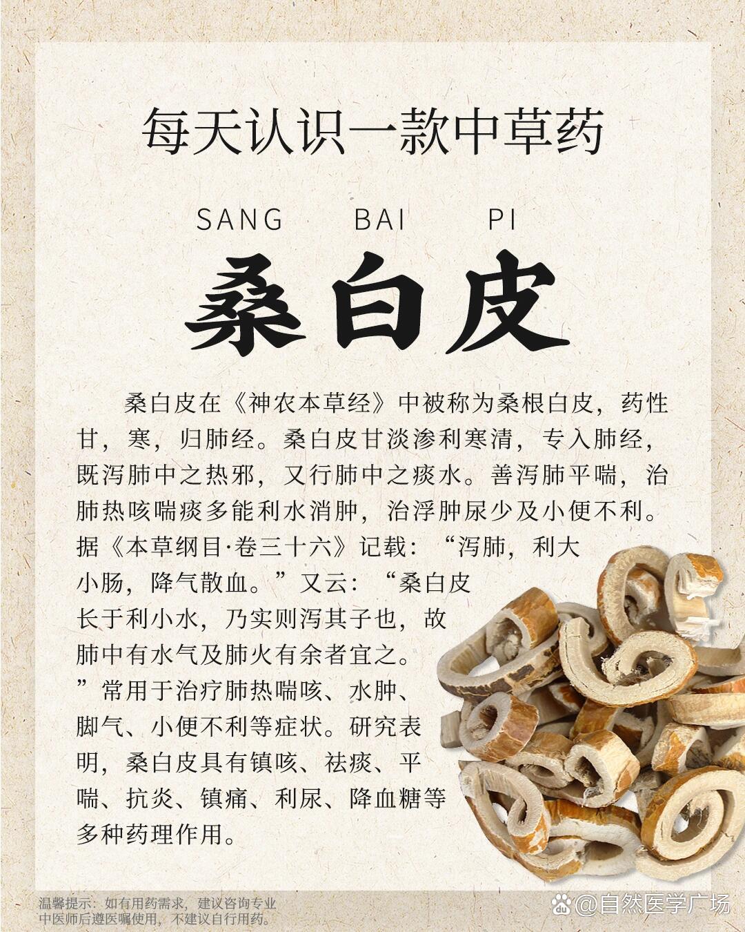 李根白皮别名 桑白皮图片