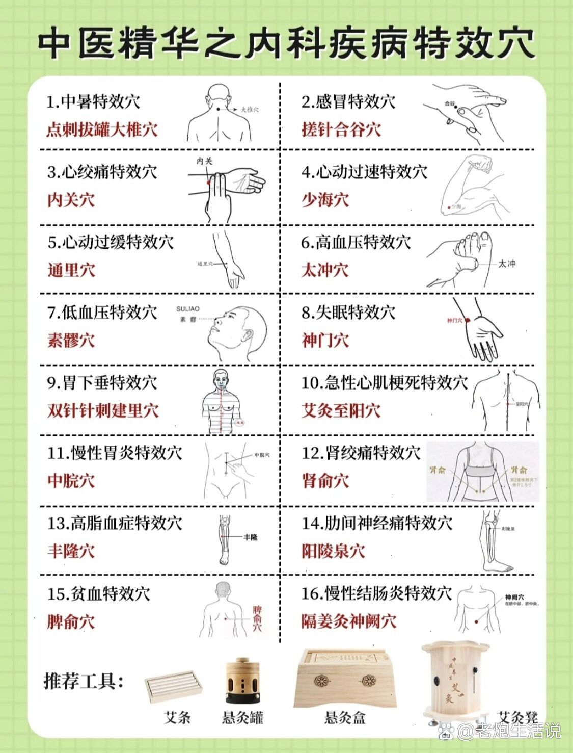 火罐对应器官位置图图片