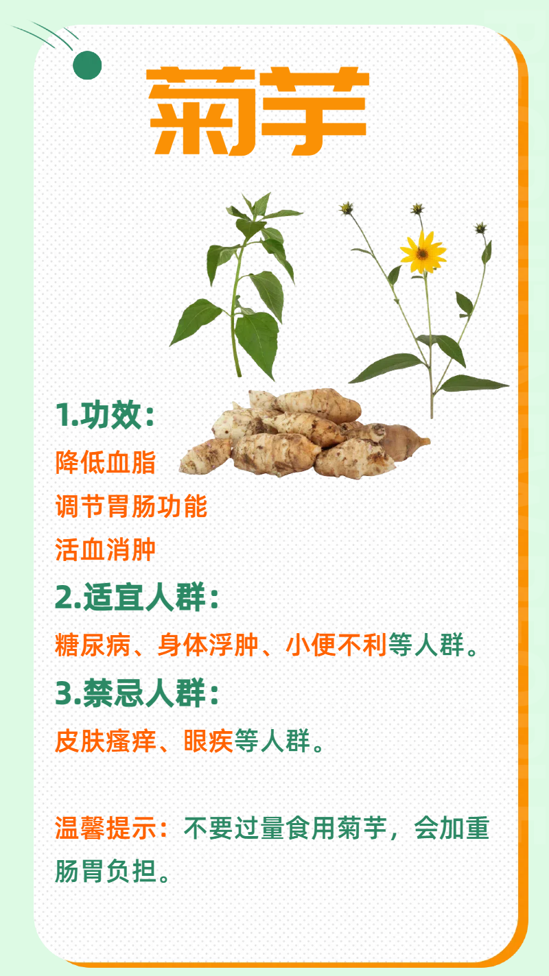 你知道菊芋有什么作用吗?