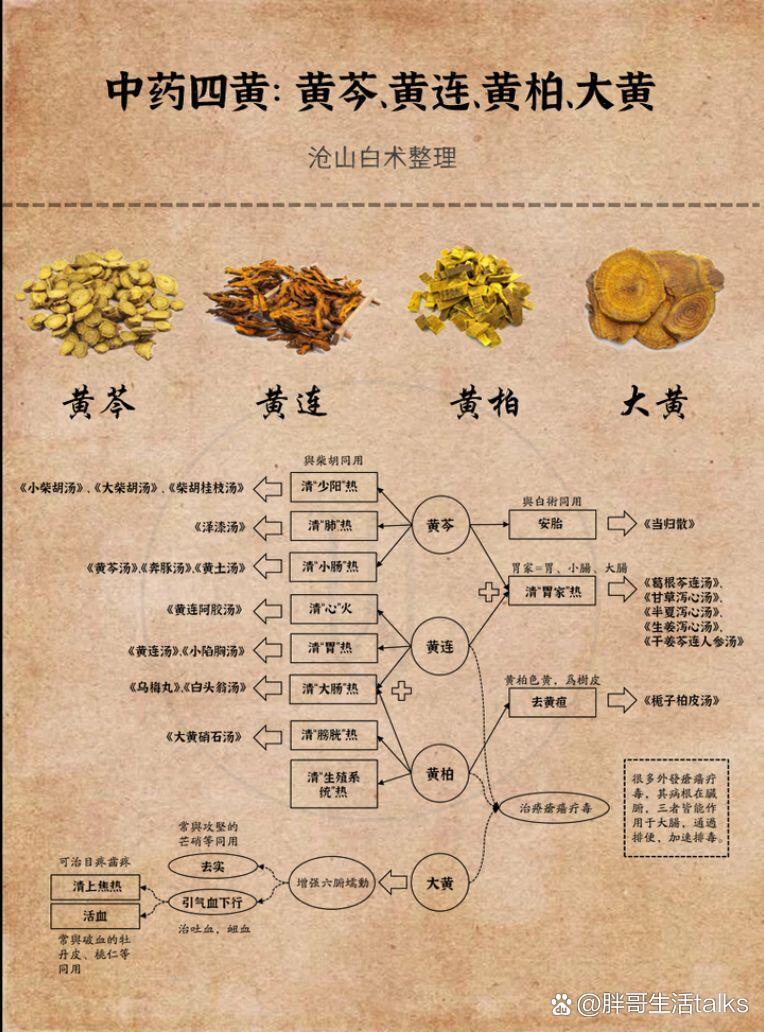 葛根黄芩黄连汤医案图片