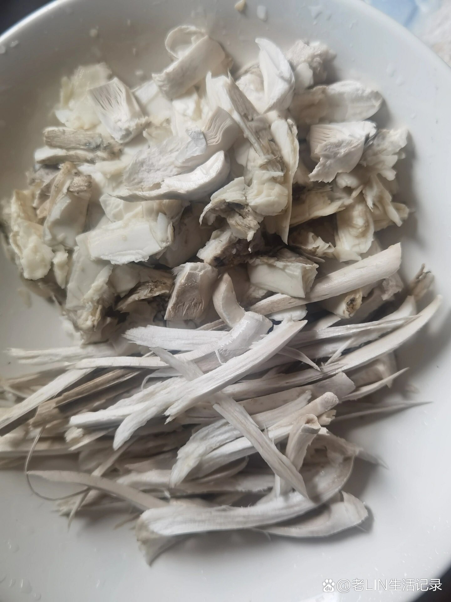 中华鹅膏菌