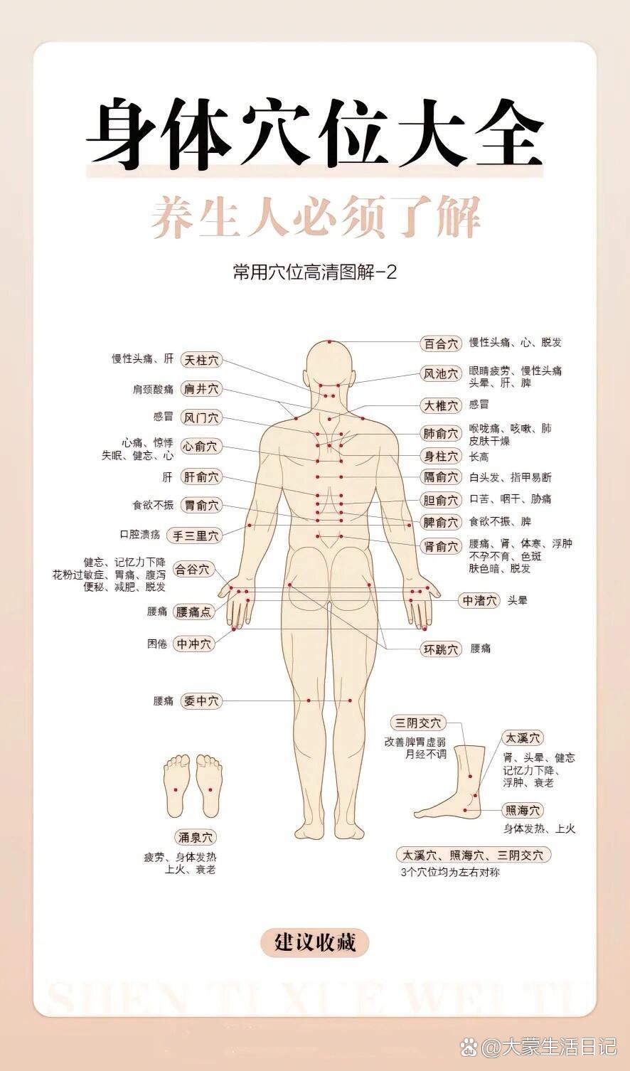 人体穴位详细图解