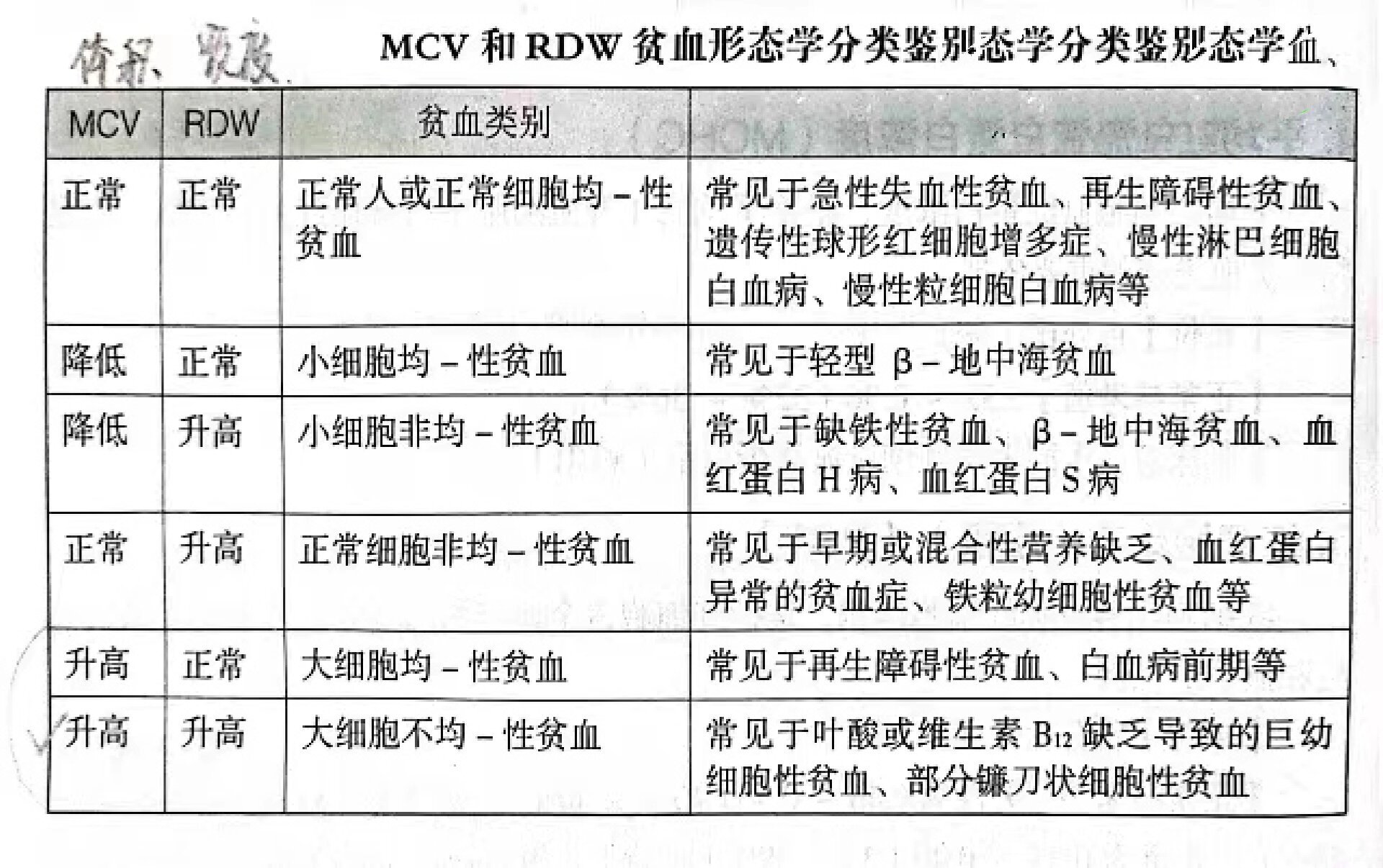 贫血分类图片