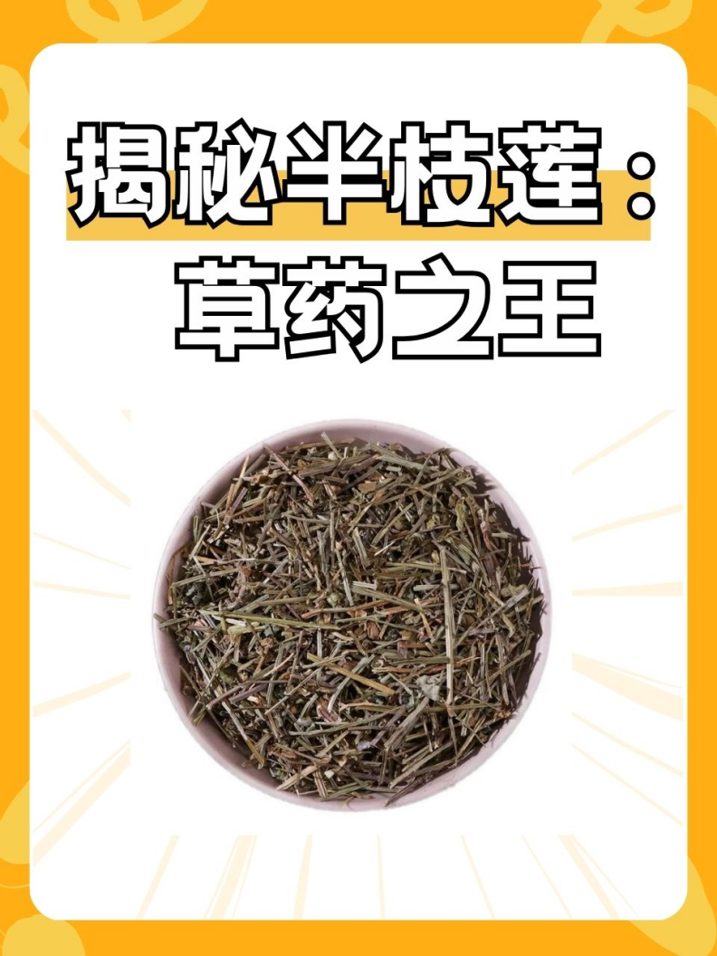 揭秘半枝莲:草药之王