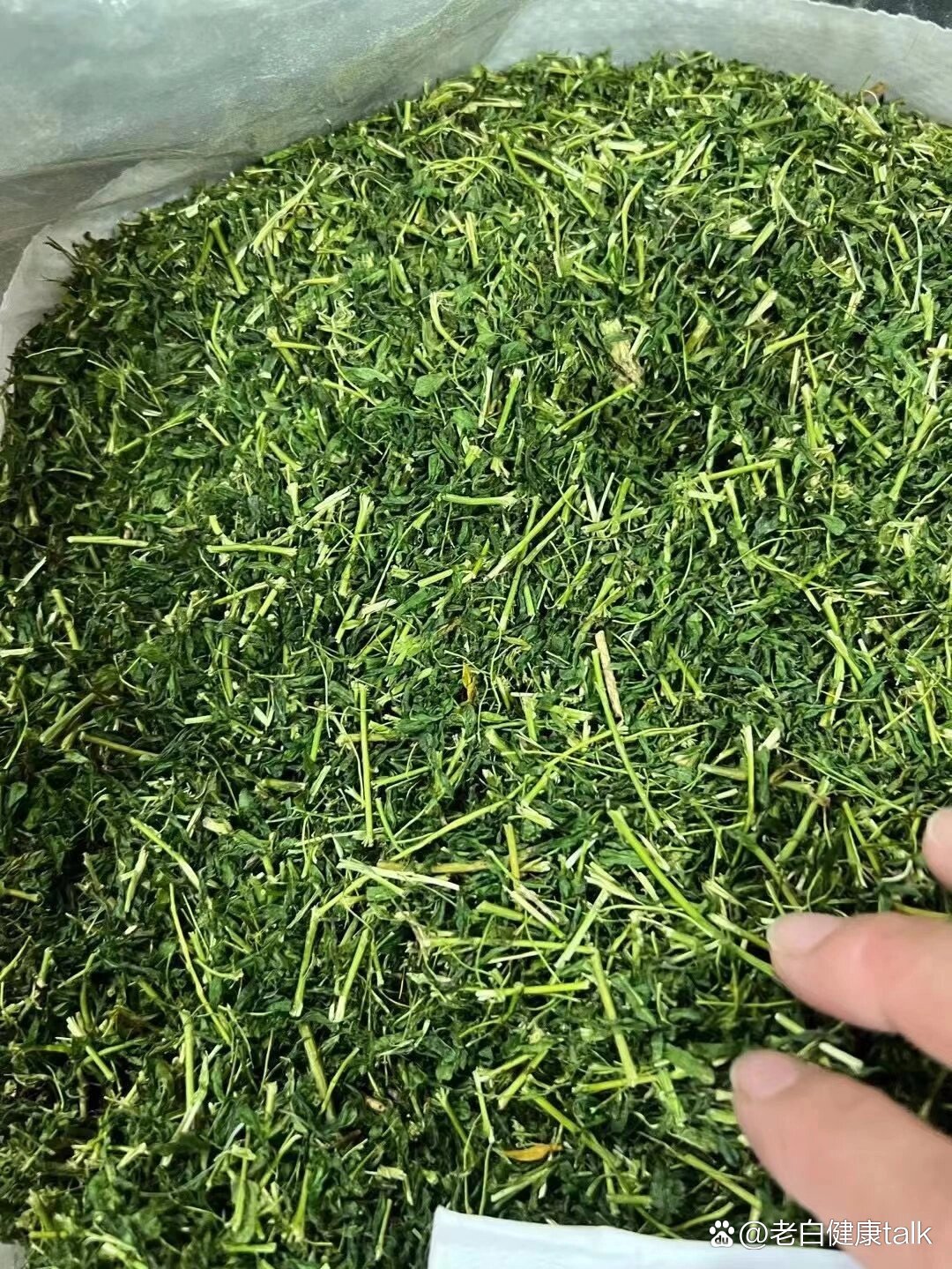 鸡骨草茶也叫护肝茶