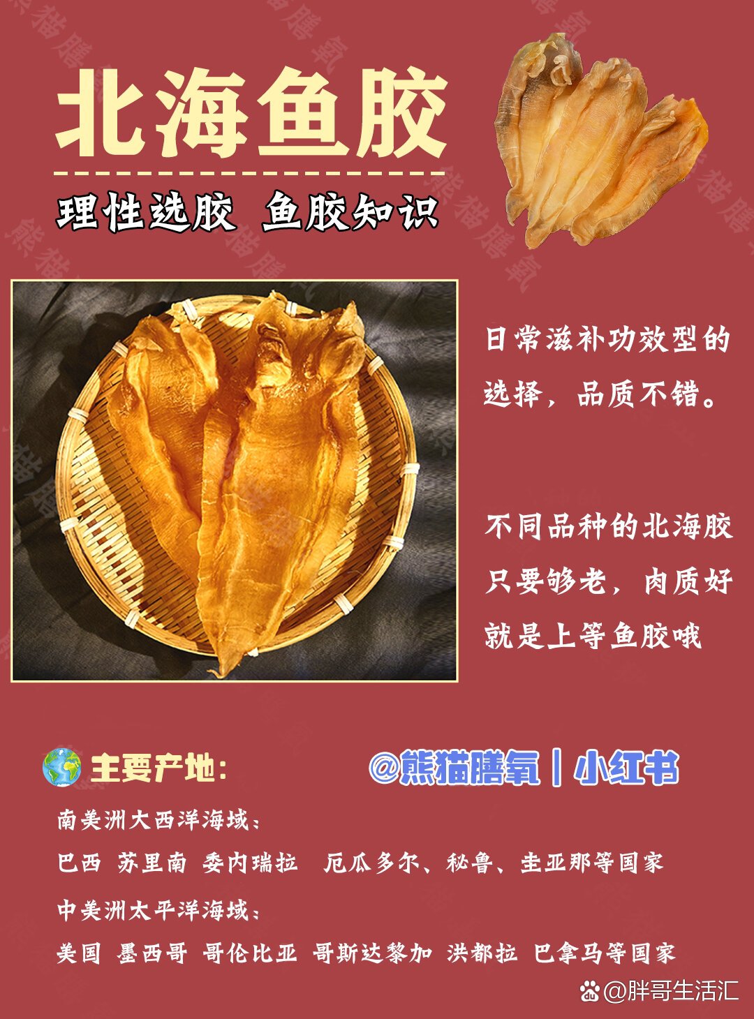 合集) br>73作为日常滋补功效型的选择北海鱼胶深受胶友们的喜爱  