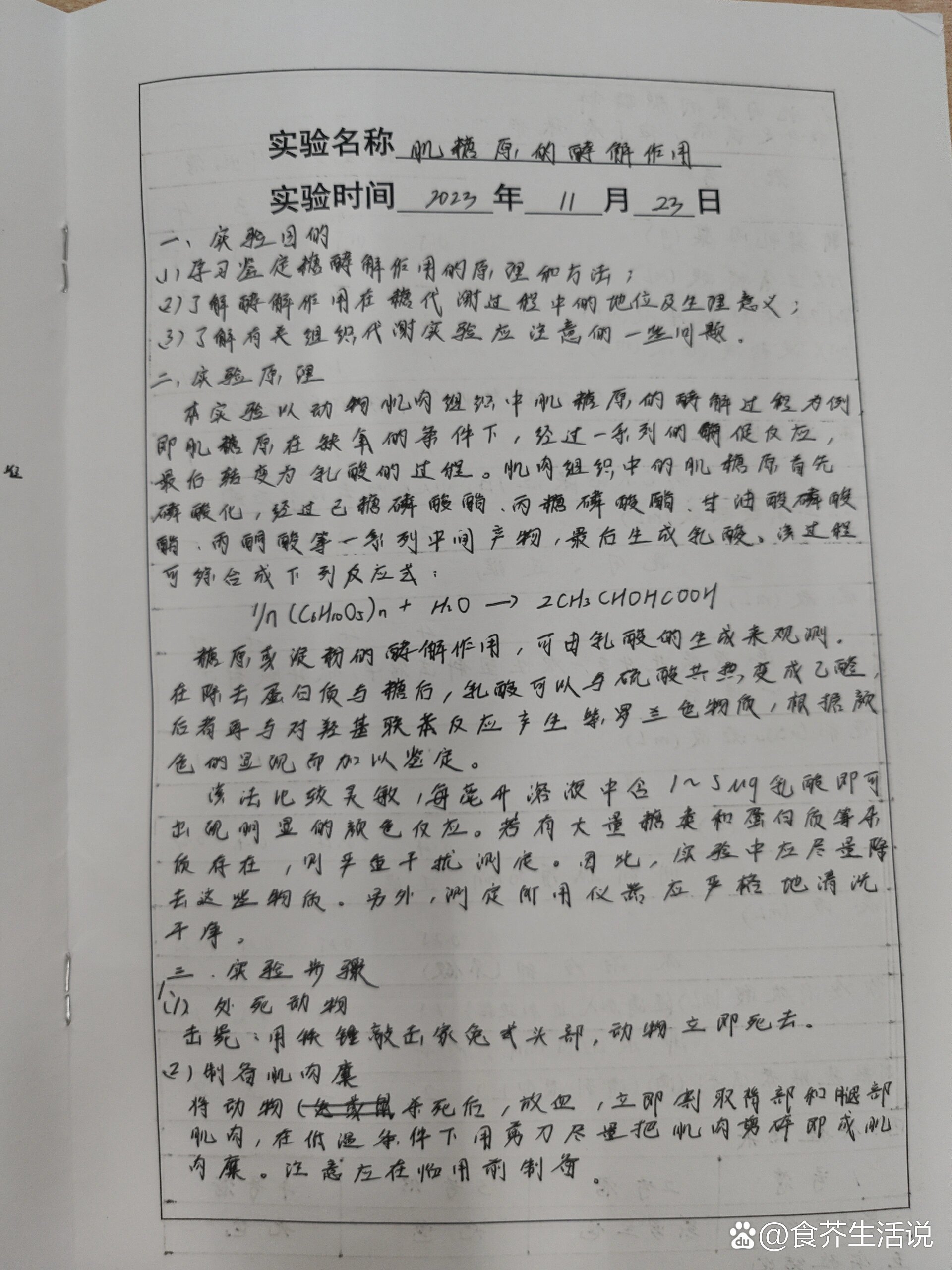 关于高中实验报告模板（理化生通用）的信息