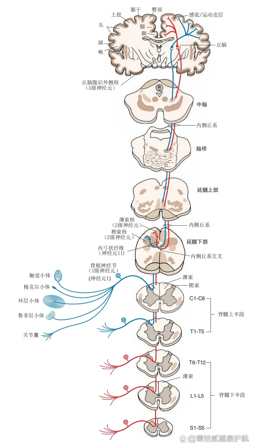 路基本体组成示意图图片