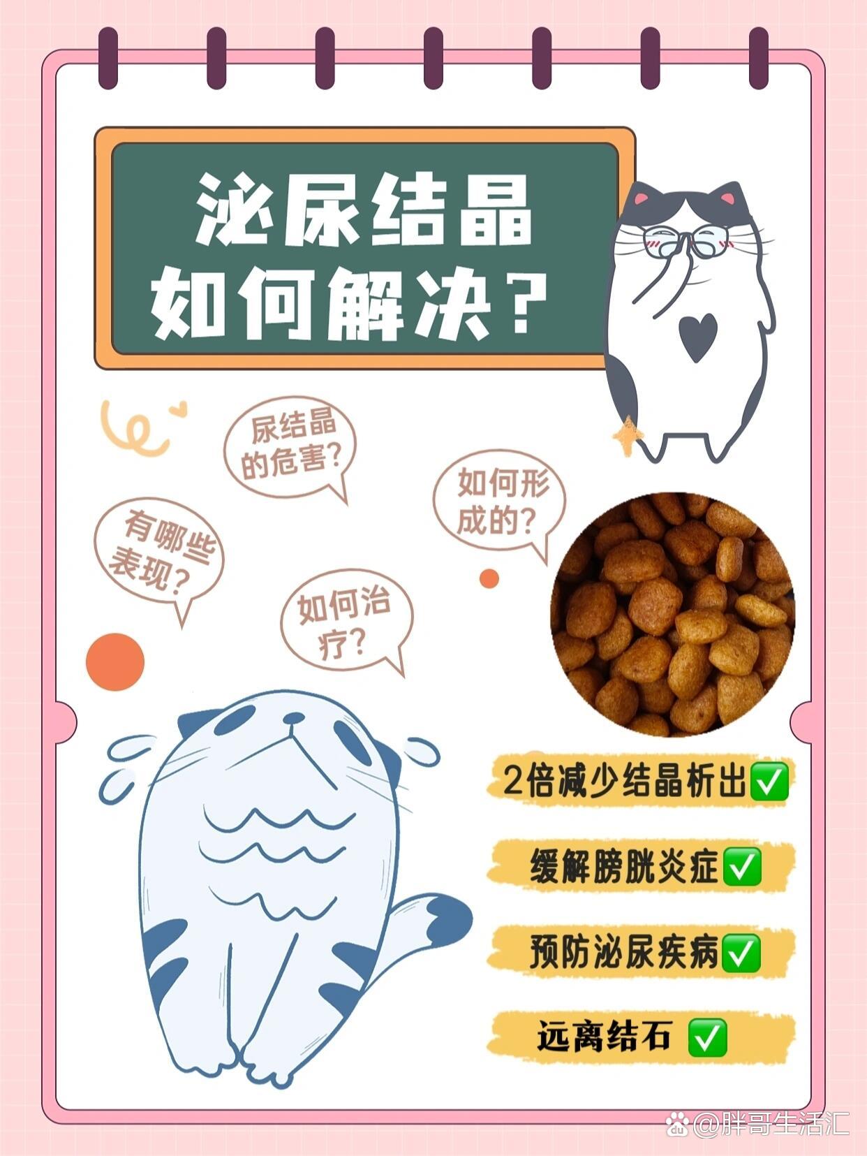 养猫攻略|泌尿结晶如何解决?
