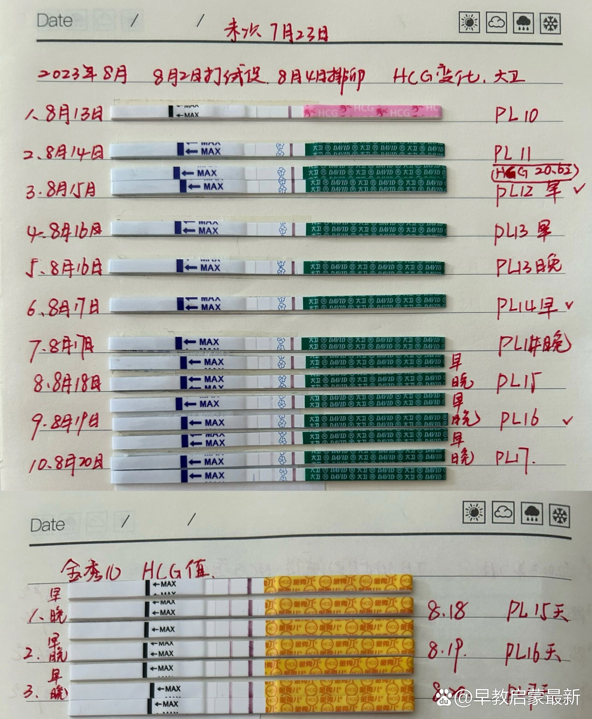 第5季早孕试纸对照图图片