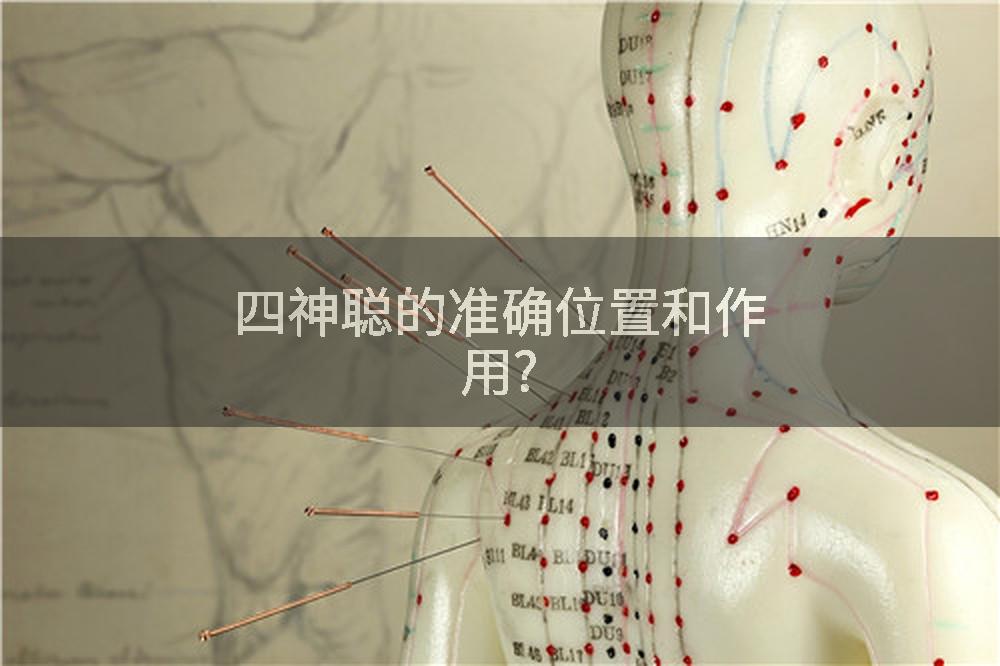 四神聪的准确位置和作用?