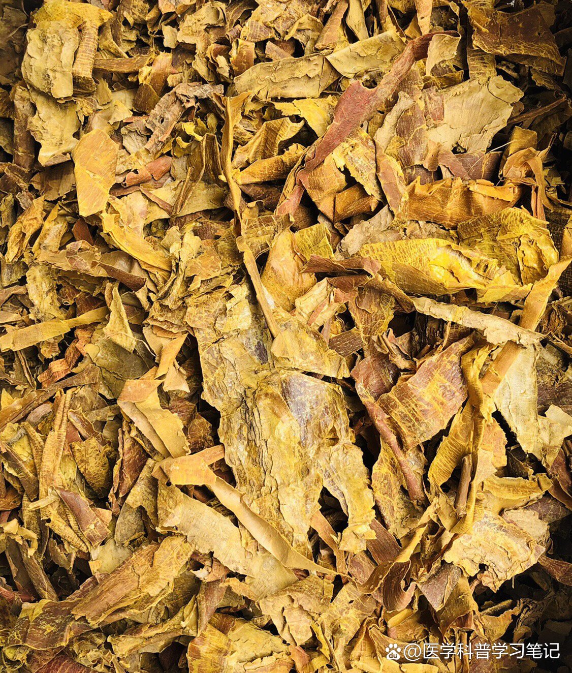 降真香黄金甲黄药膜