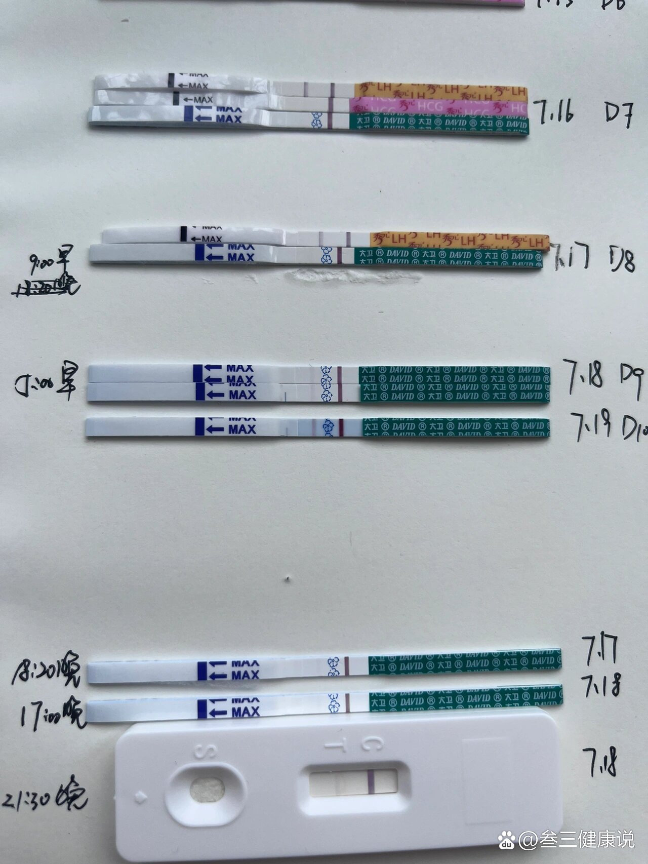 冻胚移植第十天