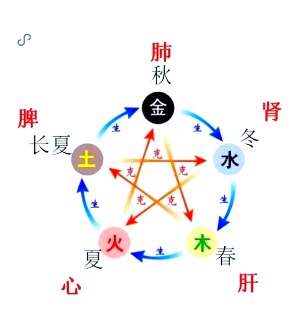 中医五运六气详解：一年二十四节气的奥秘