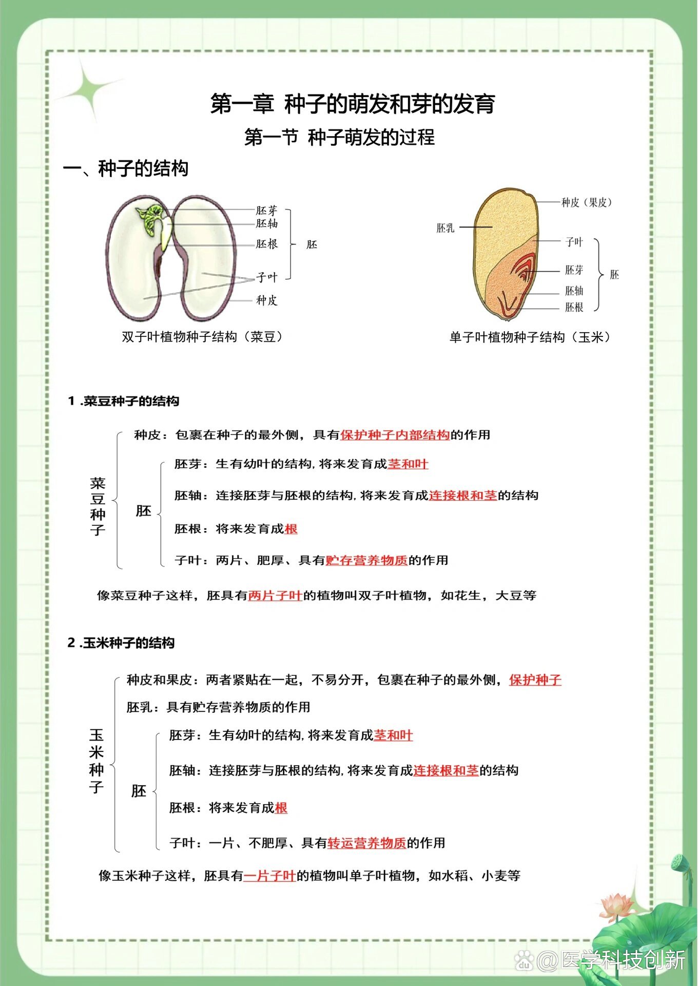 种子萌发生物思维导图图片