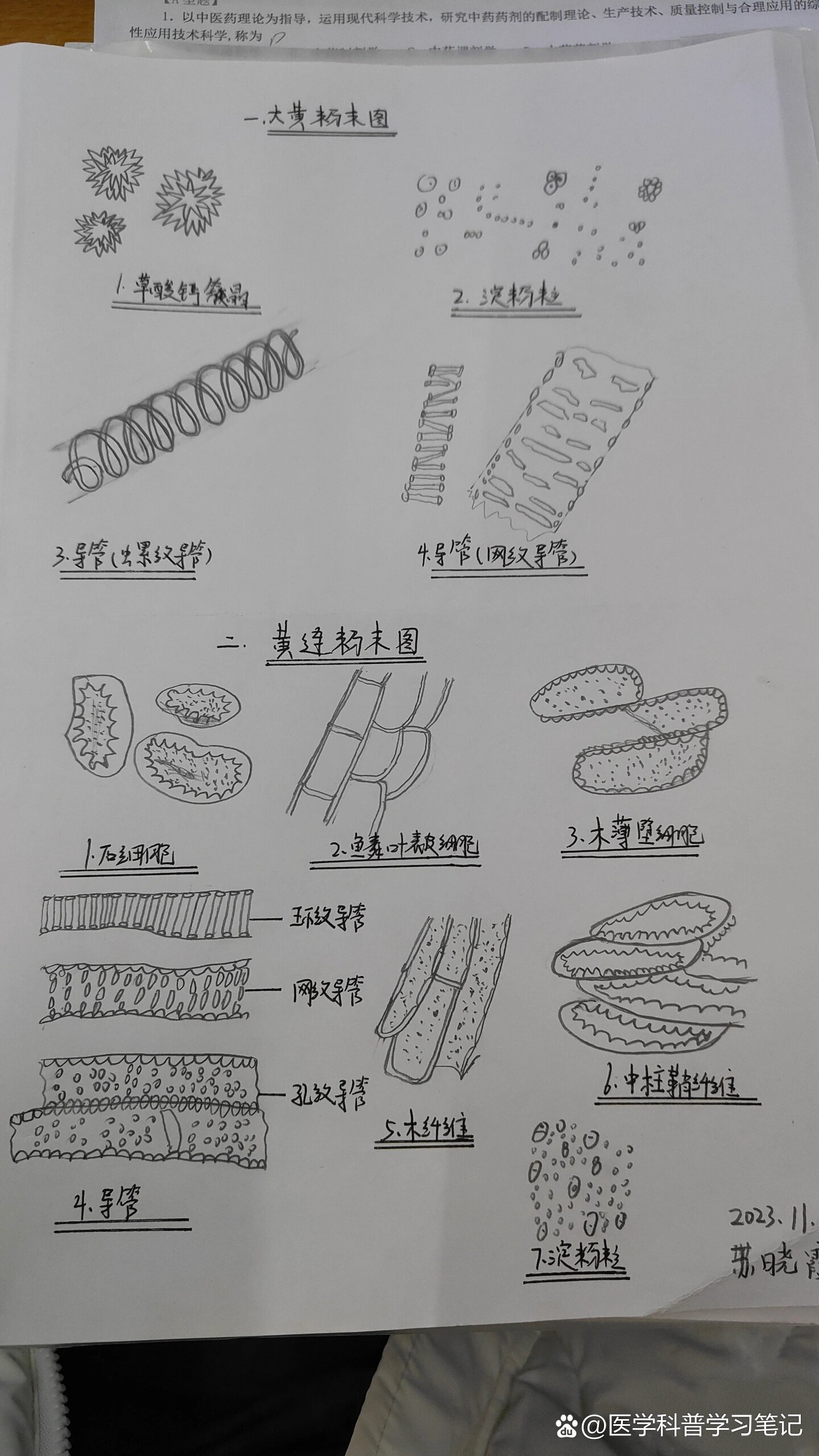 大黄粉末微量升华简图图片