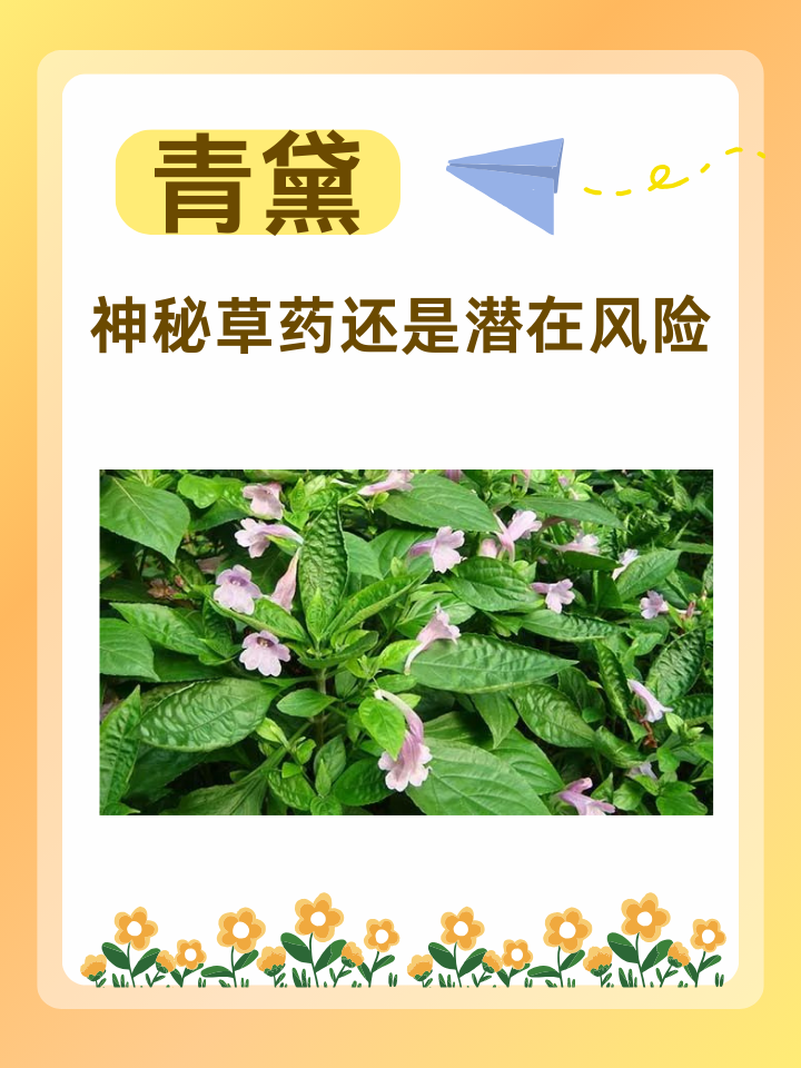 青黛:神秘草药还是潜在风险?