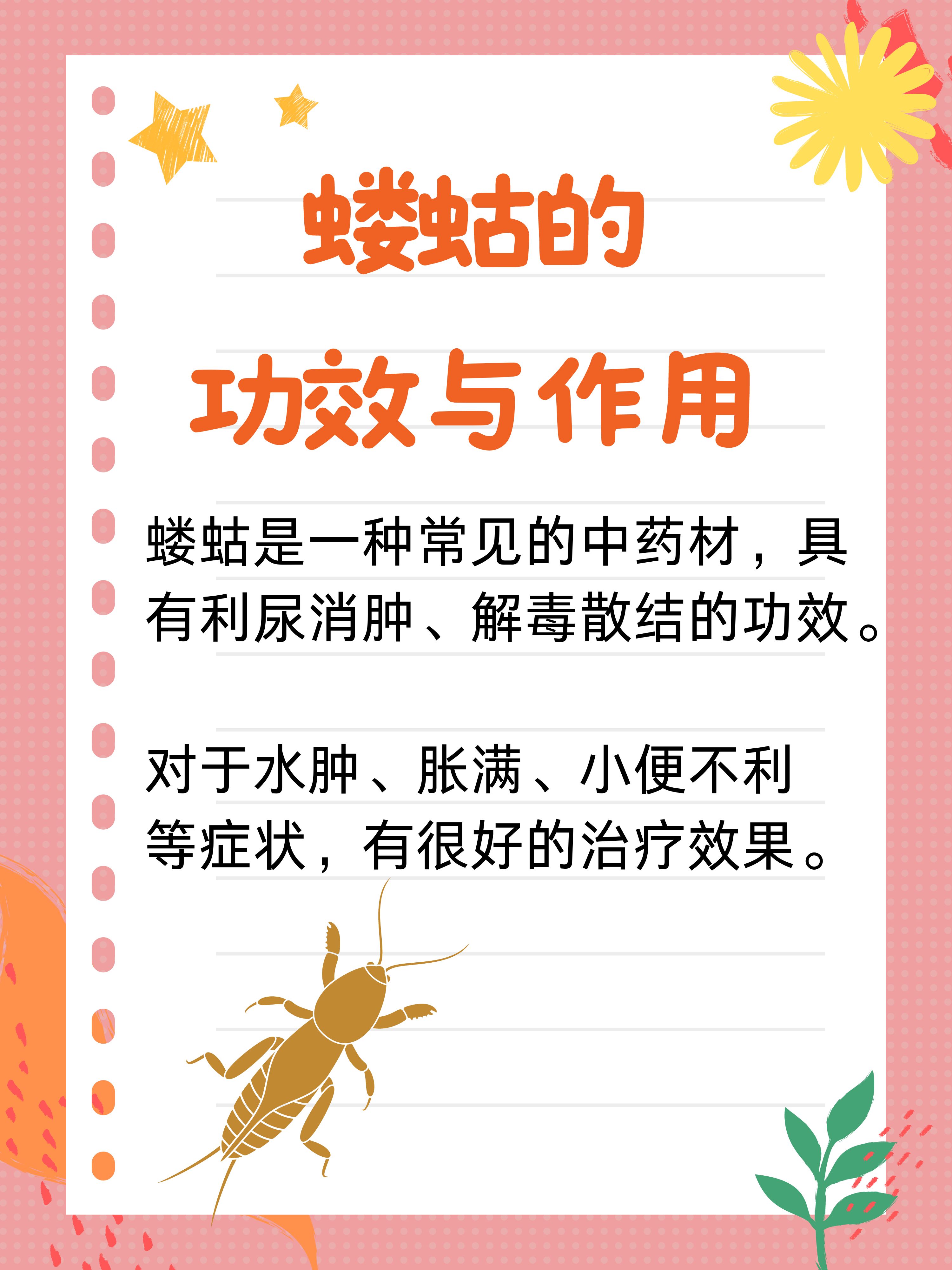 蝼蛄的作用与功效你知道吗