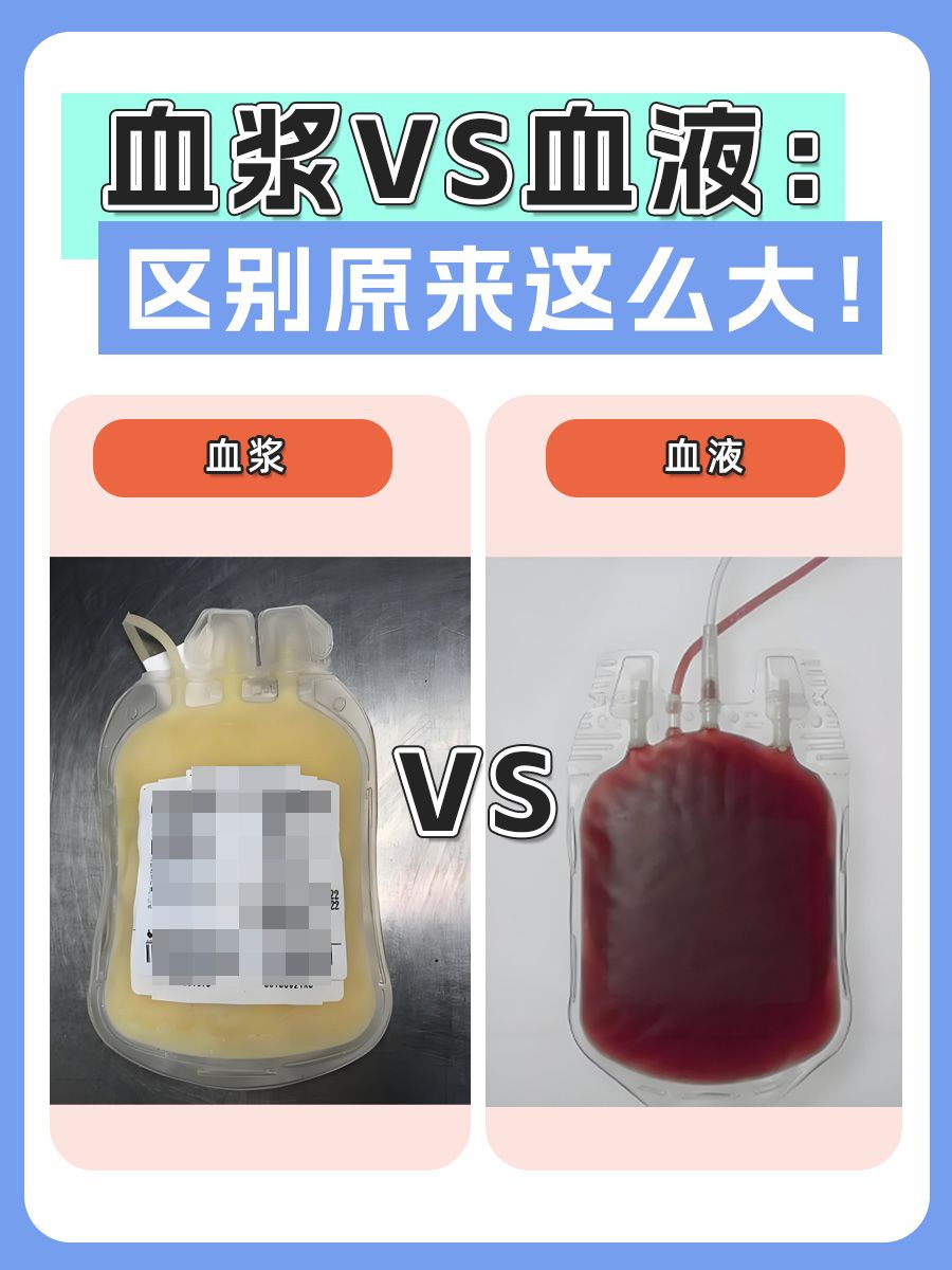 血浆vs血液:区别原来这么大!