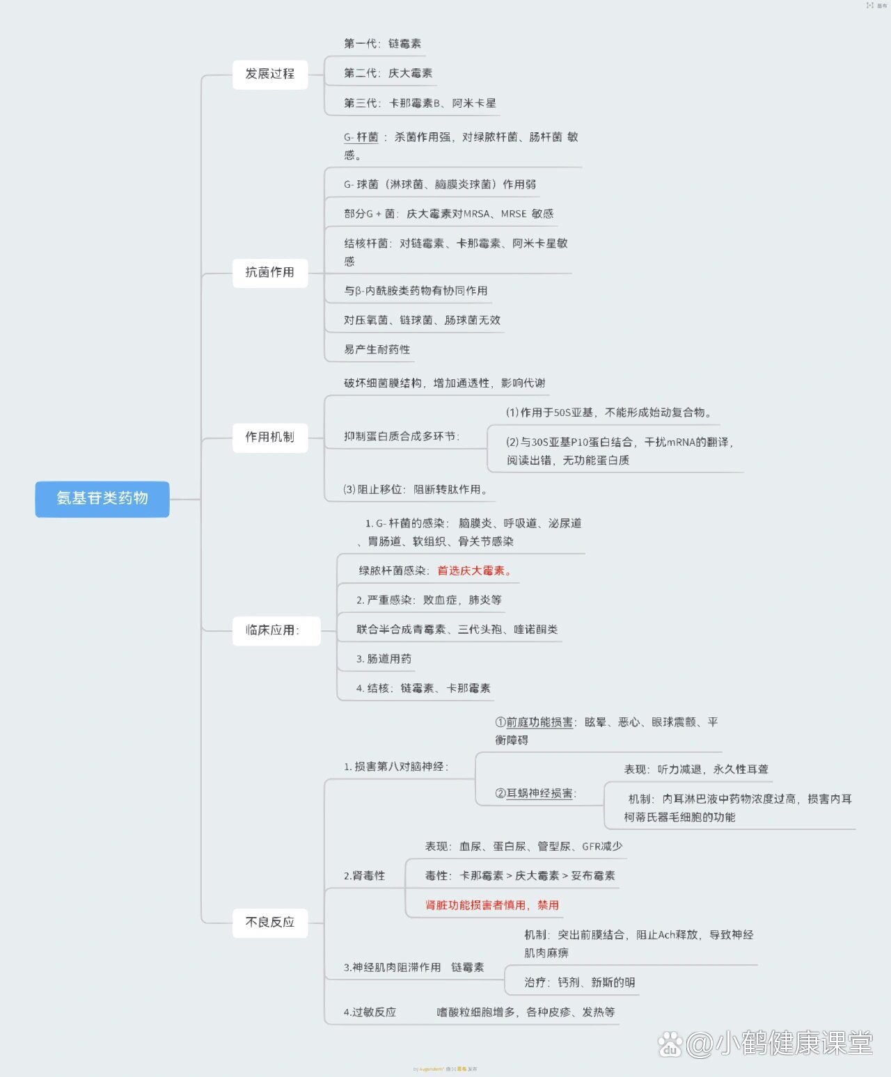 必需氨基酸思维导图图片