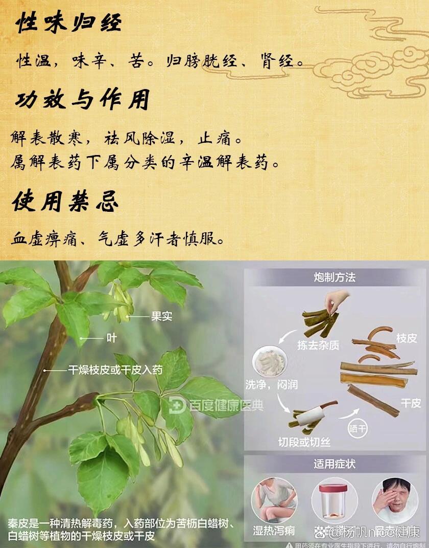 秦皮的功效与作用点图片