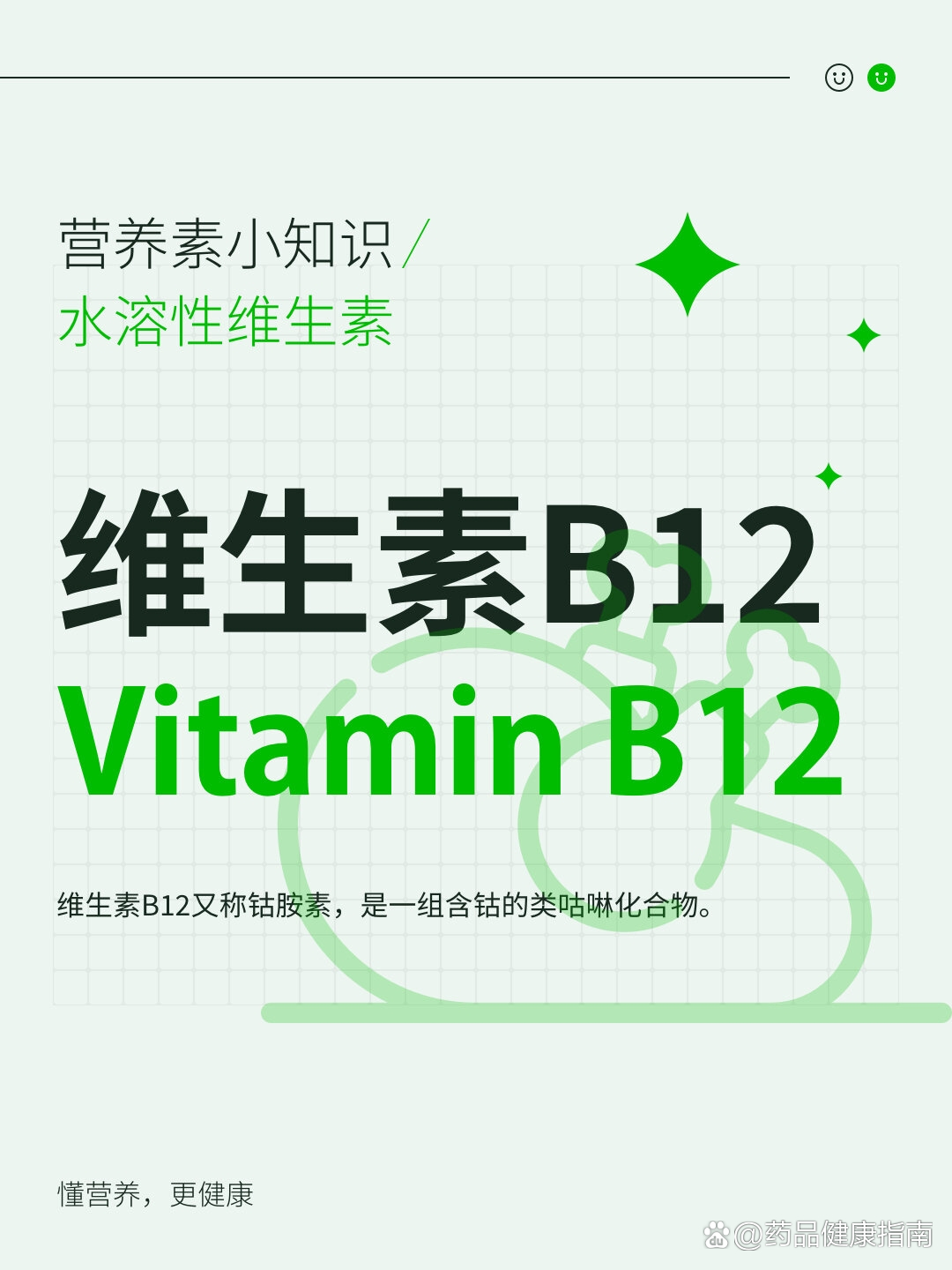 关于维生素b12,你需要了解这些