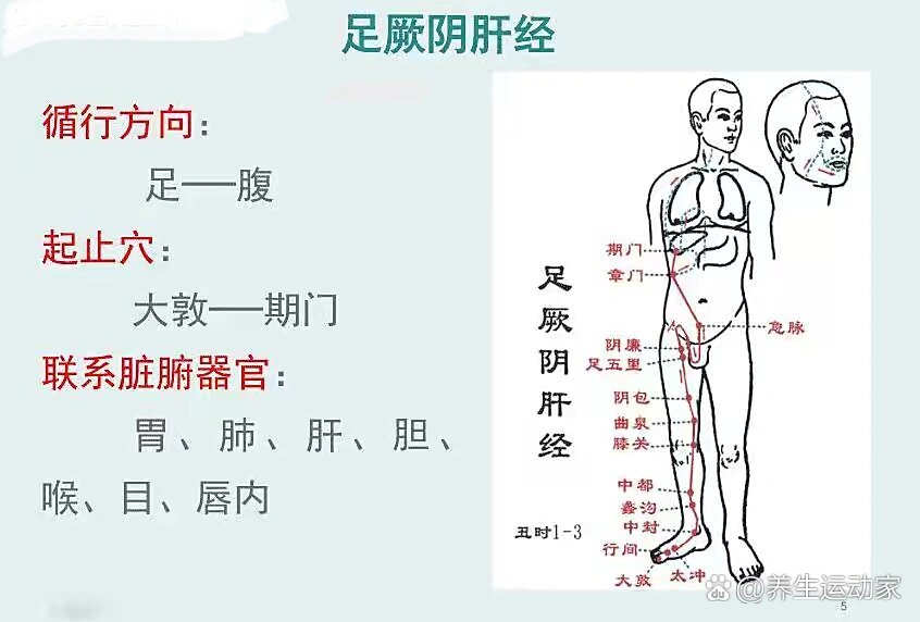 阴廉的位置图片图片